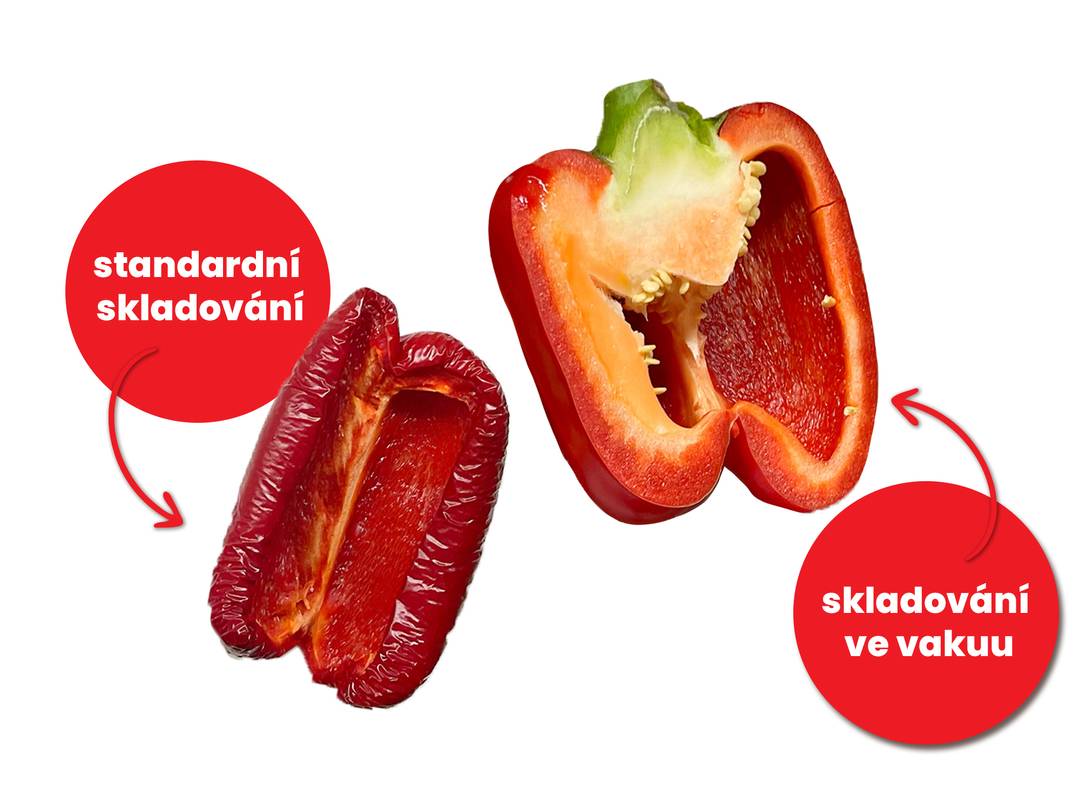 jak skladovat papriky 